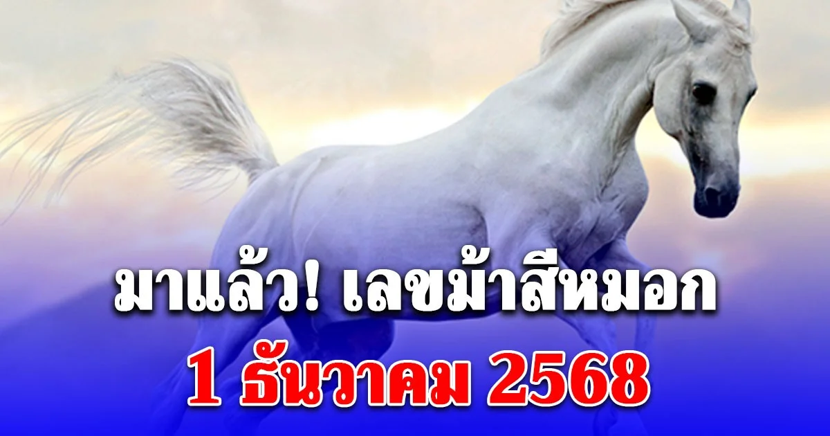 มาแล้ว! เลข ม้าสีหมอก 1/12/68