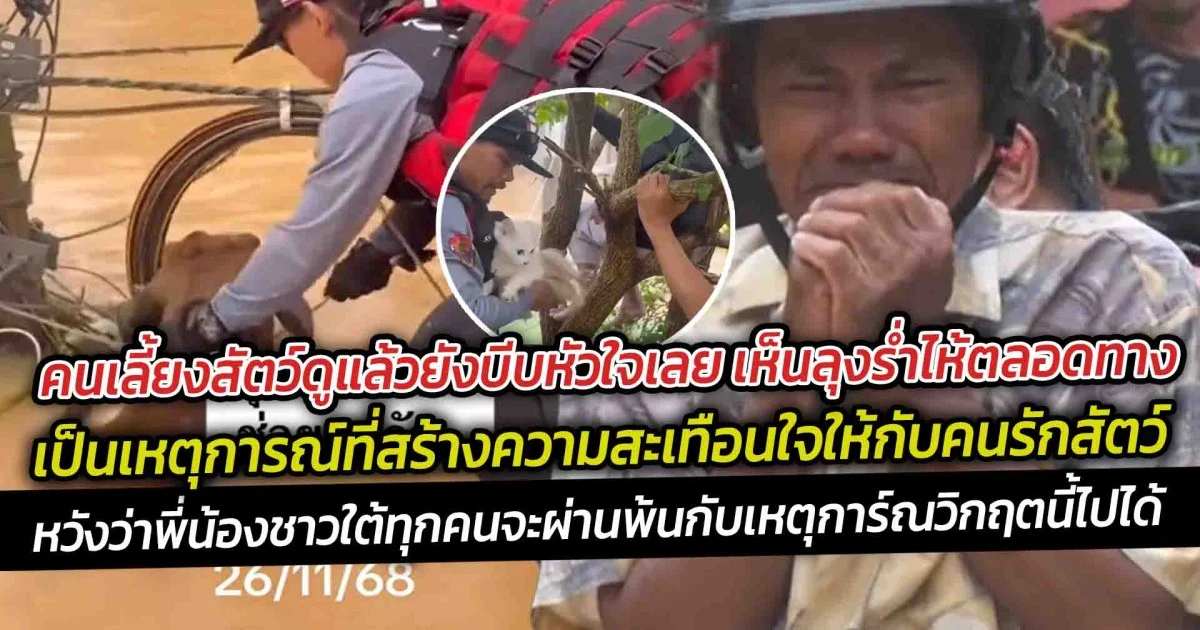 คนเลี้ยงสัตว์ดูแล้วยังบีบหัวใจเลย จะร้องไห้ตาม เห็นลุงร่ำไห้ตลอดทาง กลายเป็นเหตุการณ์ที่สร้างความสะเทือนใจ