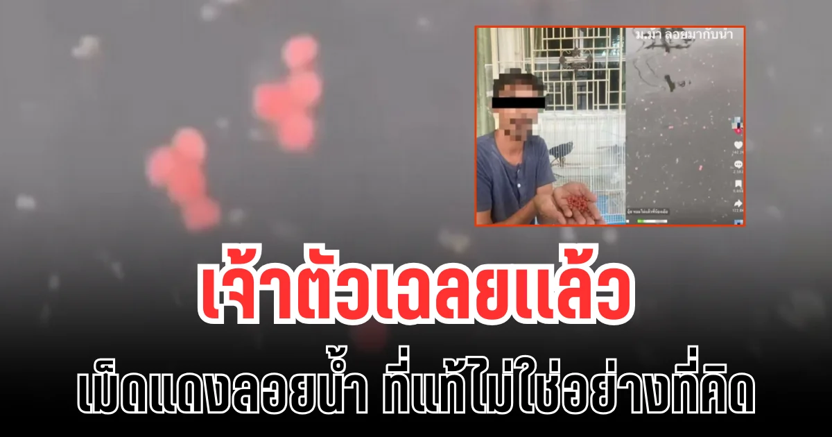 เกือบเข้าใจผิด! เจ้าตัวเฉลยเเล้ว เม็ดแดงลอยน้ำ ที่แท้ไม่ใช่อย่างที่คิด