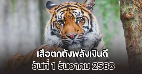 มาแล้ว! แนวทางจาก เสือตกถังพลังเงินดี วันที่ 1 ธันวาคม 2568
