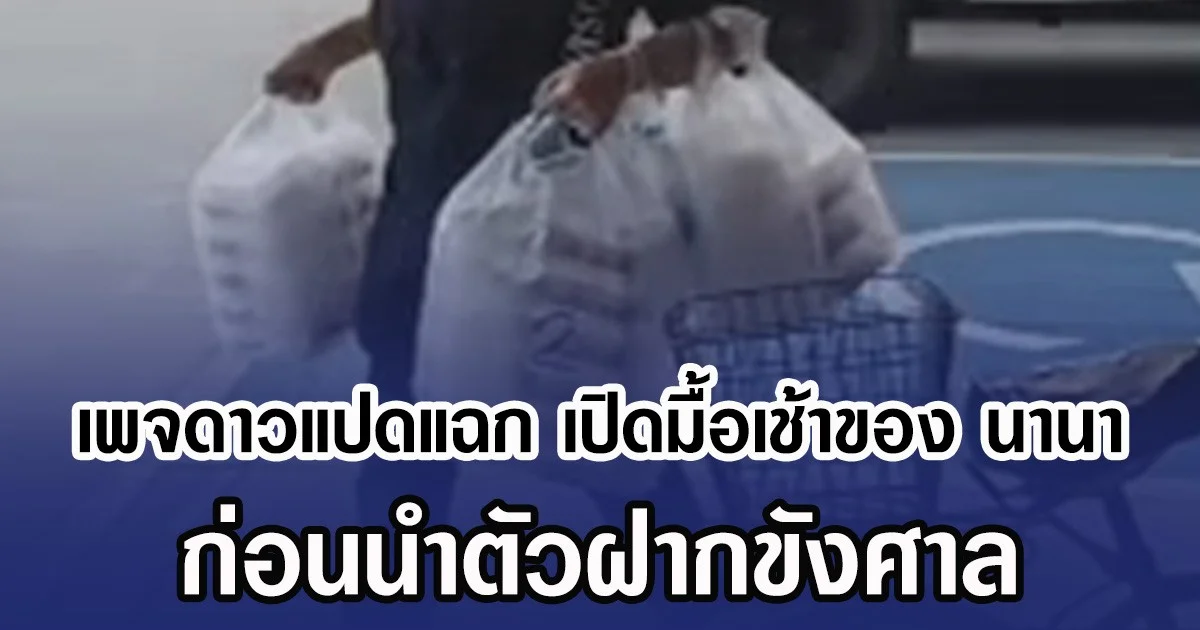 เพจดาวแปดแฉก เปิดมื้อเช้าของ นานา ก่อนนำตัวฝากขังศาล