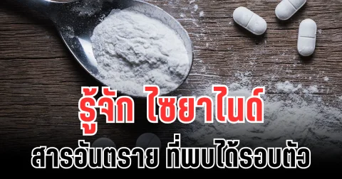 รู้จัก ไซยาไนด์  สารอันตราย ที่พบได้ใกล้ตัวกว่าที่คิด