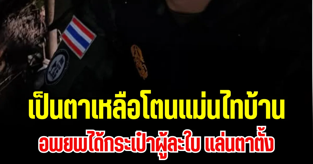 เป็นตาเหลือโตนแม่นไทบ้าน หอบลูกหอบหลานน้อย ตายายเฒ่า ๆ อพยพได้กระเป๋าผู้ละใบ แล่นตาตั้ง