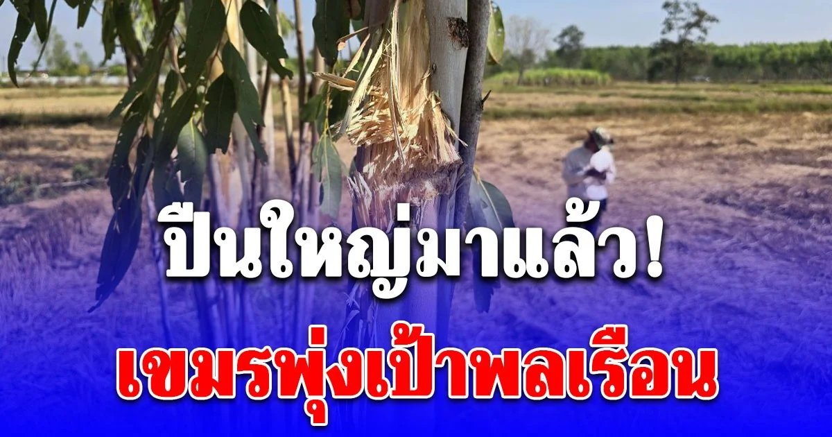 ปืนใหญ่มาแล้ว! เขมรพุ่งเป้าพลเรือน ผู้นำสั่งชาวบ้านเข้าหลุมหลบภัยวุ่น