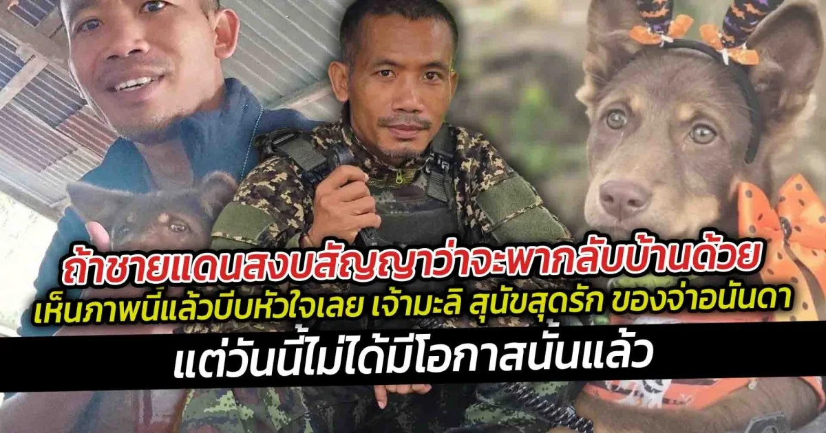 ถ้าชายแดนสงบสัญญาว่าจะพากลับบ้านด้วย แต่วันนี้ไม่ได้มีโอกาสนั้นแล้ว เห็นภาพนี้แล้วบีบหัวใจเลย เจ้ามะลิ สุนัขสุดรัก ของจ่าอนันดา