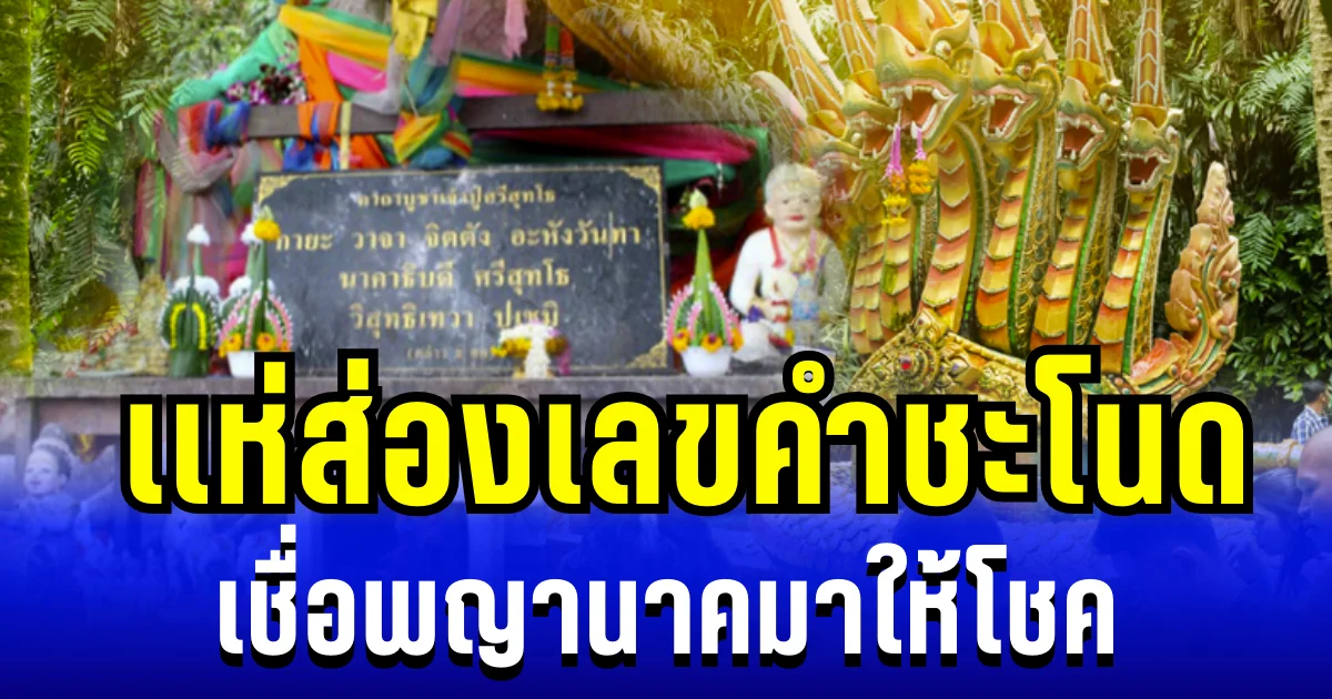 ให้ถูกหลายงวดเเล้ว! เเห่ส่องเลขคำชะโนด เชื่อพญานาคมาให้โชค
