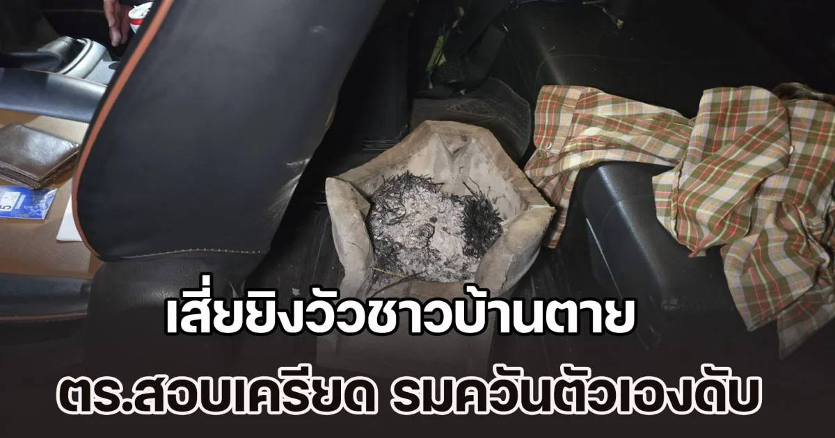 เสี่ยซ้อมยิงปืนกลางทุ่งนา โดนวัวชาวบ้านตาย ตร.เรียกสอบเครียด รมควันตัวเองดับสลด