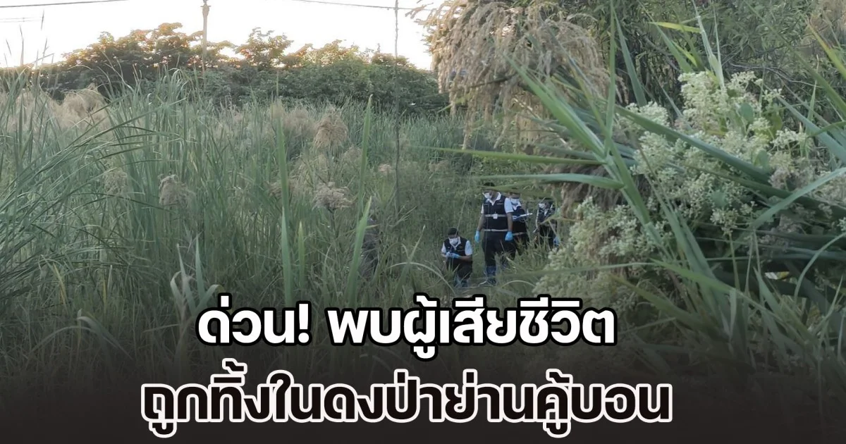 ด่วน! พบผู้เสียชีวิต ถูกทิ้งในดงป่าย่านคู้บอน สภาพร่างถูกแยกออกจากกัน