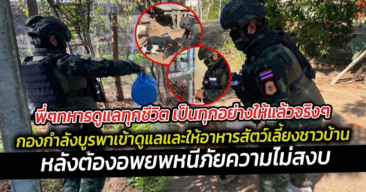 พี่ๆทหารดูแลทุกชีวิต เป็นทุกอย่างให้แล้วจริงๆ  กองกำลังบูรพาจัดกำลังพลเข้าดูแลและให้อาหารสัตว์เลี้ยงของชาวบ้าน