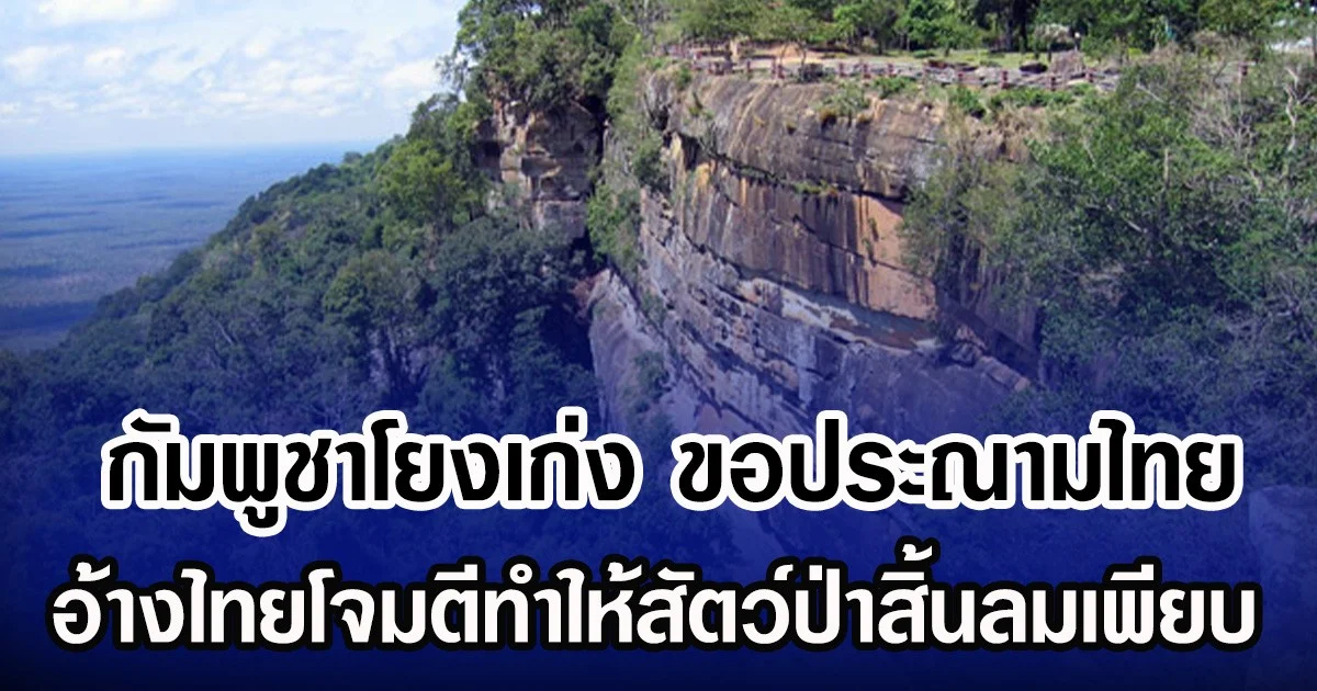 กัมพูชาโยงเก่ง ขอประณามไทย อ้างไทยโจมตีทำให้สัตว์ป่าสิ้นลมเพียบ