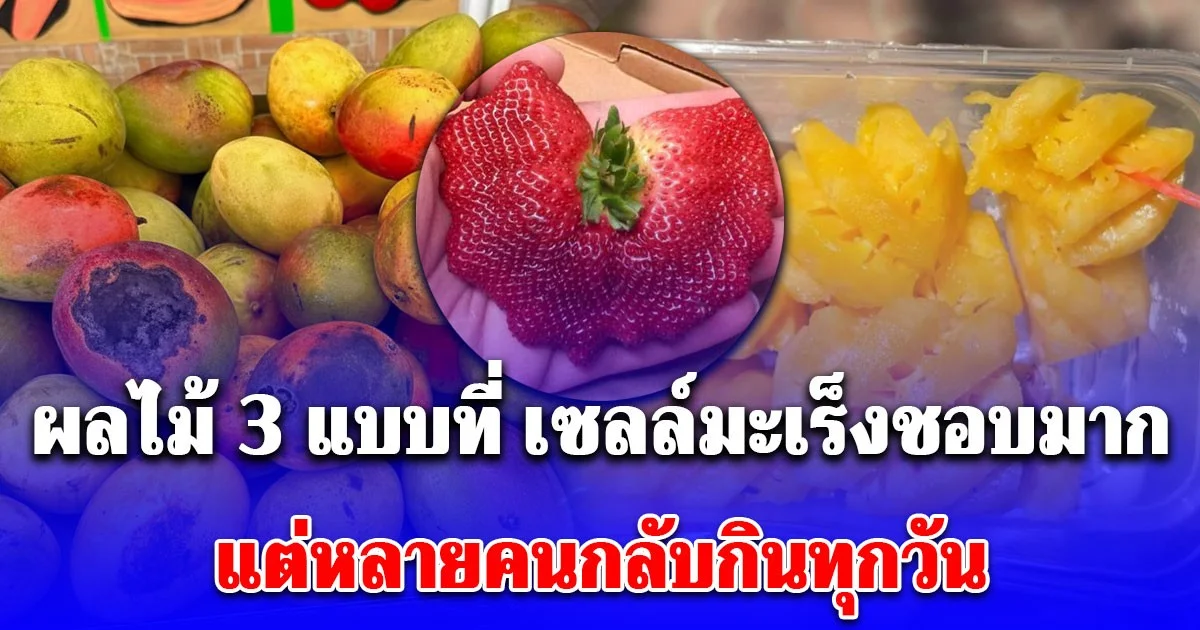 เตือนแล้วนะ! ผลไม้ 3 แบบที่ เซลล์มะเร็ง ชื่นชอบ หมอยังไม่กล้าแตะ แต่หลายคนกลับกินทุกวัน