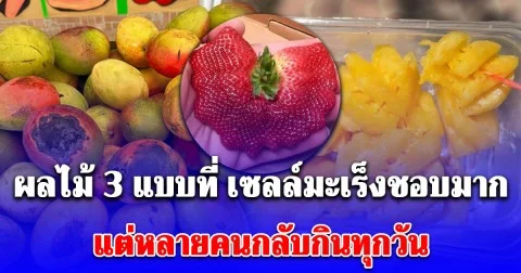 เตือนแล้วนะ! ผลไม้ 3 แบบที่ เซลล์มะเร็ง ชื่นชอบ หมอยังไม่กล้าแตะ แต่หลายคนกลับกินทุกวัน