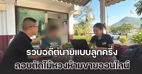 รวบอดีตนายแบบลูกครึ่งไทย-เยอรมัน หนีหมายศาล ลอบตัดไม้หวงห้ามขายออนไลน์ไม่เกรงกฎหมาย