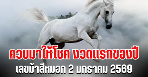 ควบมาให้โชค งวดเเรกของปี เลขม้าสีหมอก 2 มกราคม 2569