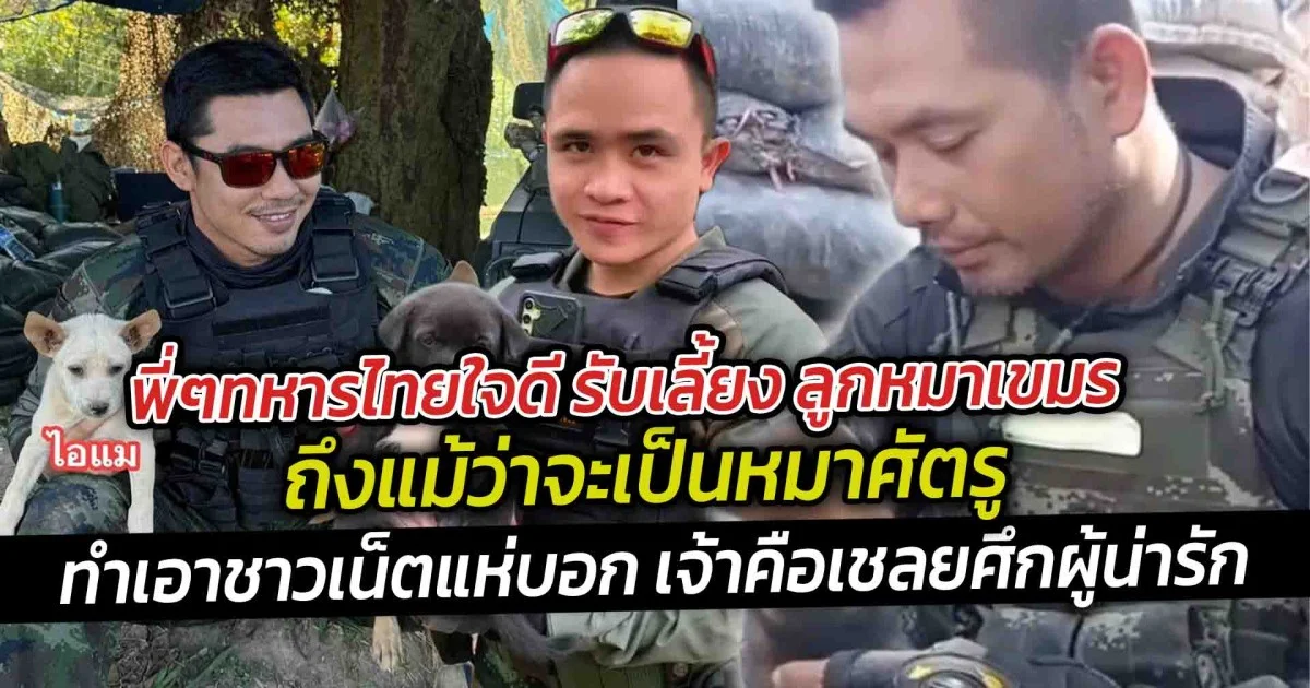 พี่ๆทหารไทยใจดี รับเลี้ยง ลูกหมาเขมร ถึงแม้ว่าจะเป็นหมาศัตรู ทำเอาชาวเน็ตแห่บอก เจ้าคือเชลยศึกผู้น่ารัก