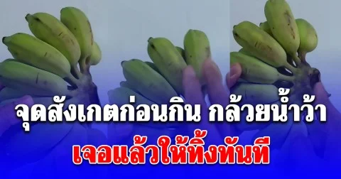 จุดสังเกตก่อนกิน กล้วยน้ำว้า เจอแล้วให้ทิ้งทันที อันตรายต่อสุขภาพ