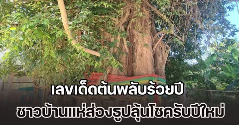 ฮือฮา! เลขเด็ดต้นพลับร้อยปี ชาวบ้านแห่ส่องธูปลุ้นโชครับปีใหม่