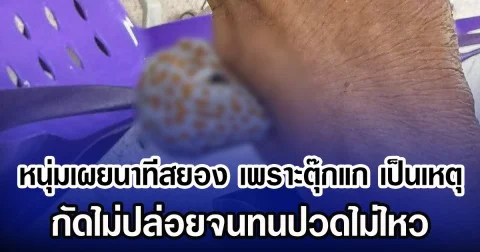 หนุ่มเผยนาทีสยอง เพราะตุ๊กแก เป็นเหตุ กัดไม่ปล่อยจนทนปวดไม่ไหว
