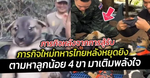 ภารกิจหลังจากการสู้รับ ภารกิจใหม่ทหารไทยหลังหยุดยิง ตามหาลูกน้อย 4 ขา มาเติมพลังใจ