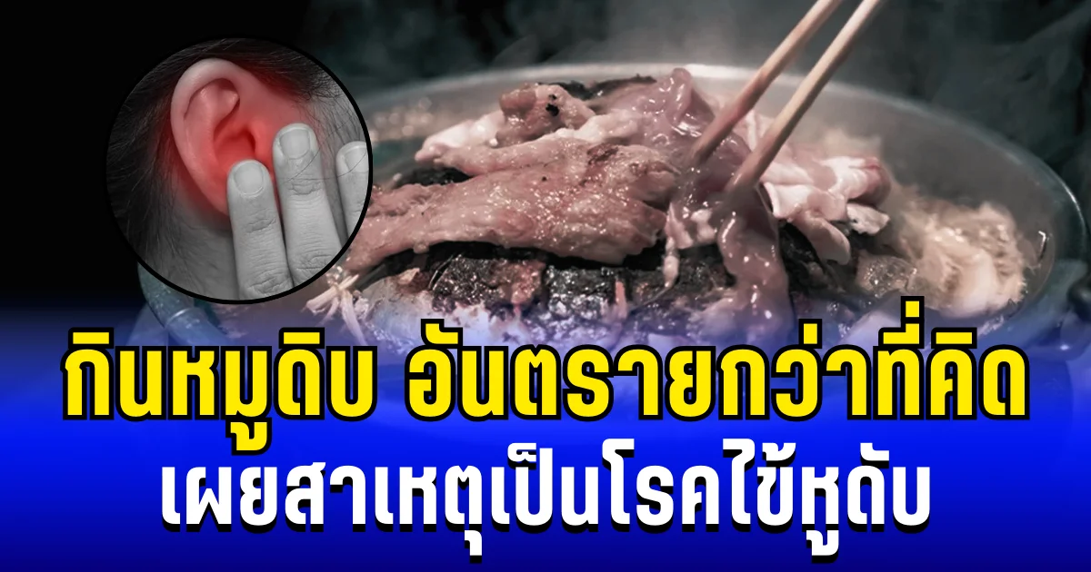 กรมอนามัยเตือนเอง! กินหมูดิบ อันตรายกว่าที่คิด เผยสาเหตุเป็นโรคไข้หูดับ