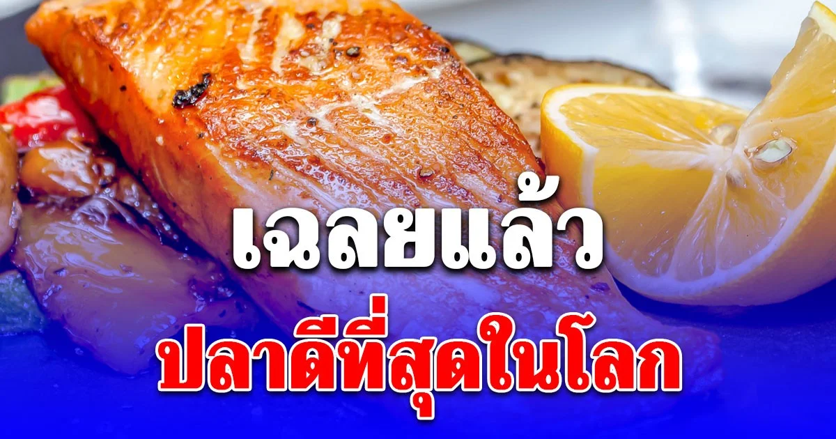 เฉลยแล้ว ปลาดีที่สุดในโลก ที่แท้เรากินประจำ