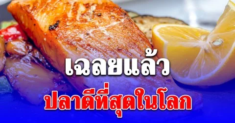 เฉลยแล้ว ปลาดีที่สุดในโลก ที่แท้เรากินประจำ