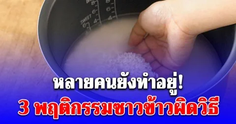 เลิกทำด่วนเลย! 3 พฤติกรรมซาวข้าวผิดวิธี ที่อาจทำร้ายสุขภาพโดยไม่รู้ตัว