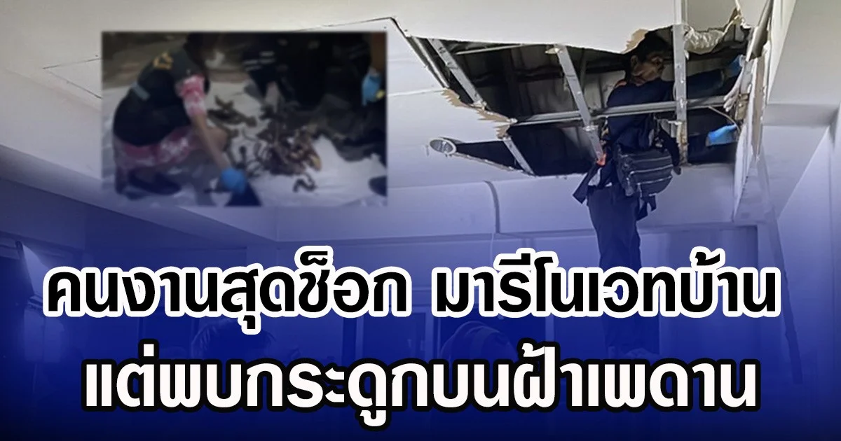 คนงานสุดช็อก มารีโนเวทบ้าน แต่พบกระดูกบนฝ้าเพดาน