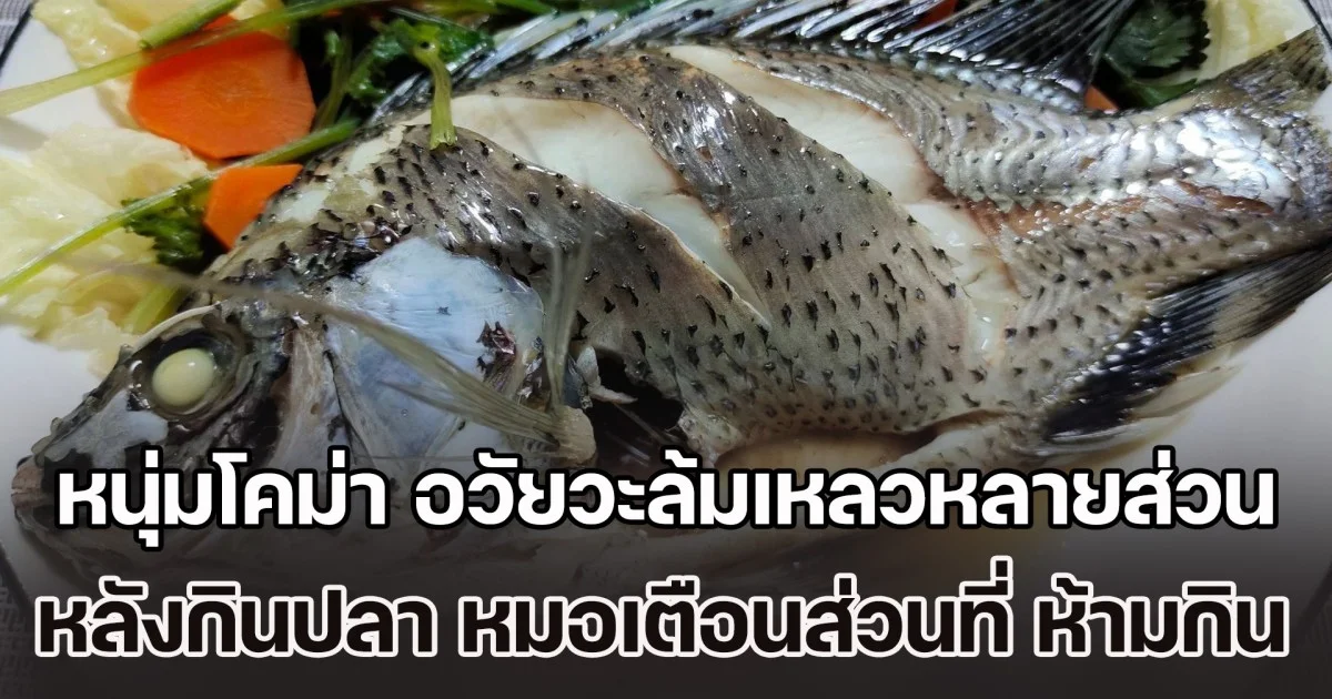 หนุ่มโคม่า อวัยวะล้มเหลวหลายส่วน หลังกินปลา หมอเตือนส่วนที่ ห้ามกิน พิษยิ่งกว่าสารหนู หลายคนคิดว่าของดี (ข่าวต่างประเทศ)