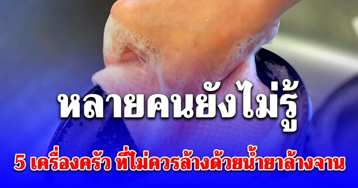 เชื่อเลยหลายคนยังไม่รู้ 5 เครื่องครัว ที่ไม่ควรล้างด้วยน้ำยาล้างจาน