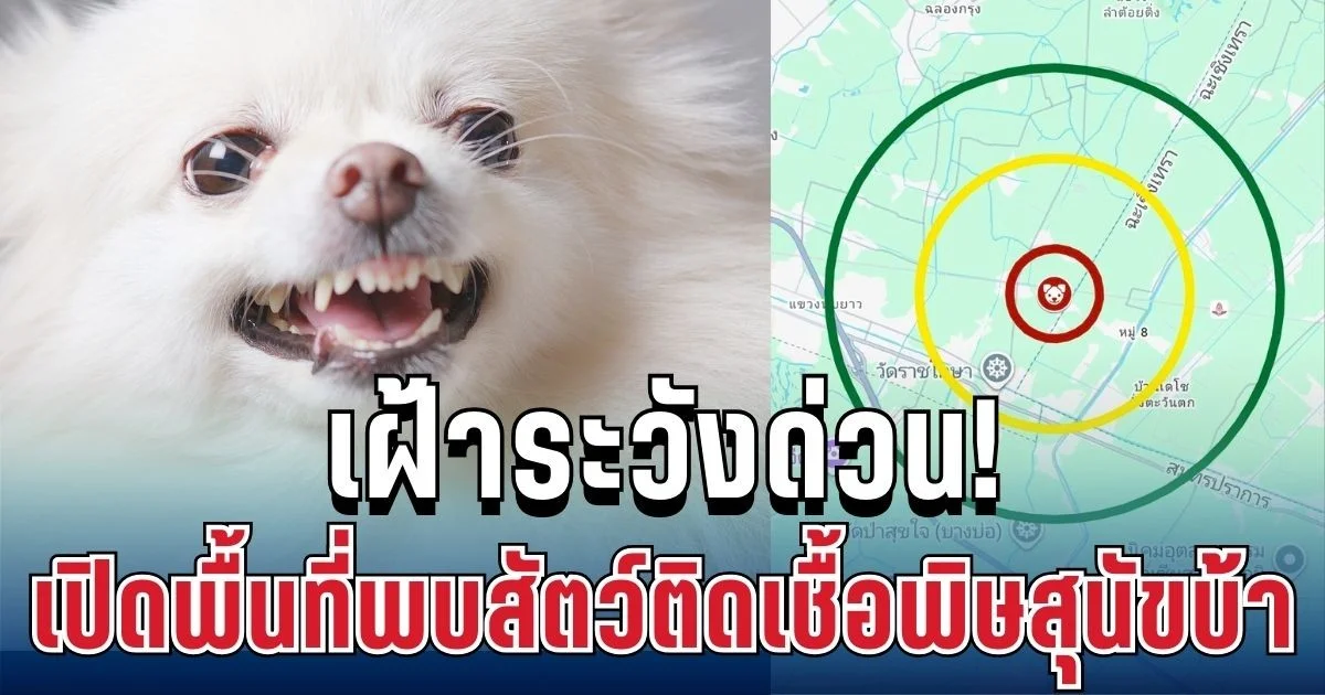 เฝ้าระวังด่วน! เปิดพื้นที่พบสัตว์ติดเชื้อพิษสุนัขบ้า ครอบคลุม 3 จังหวัดใหญ่