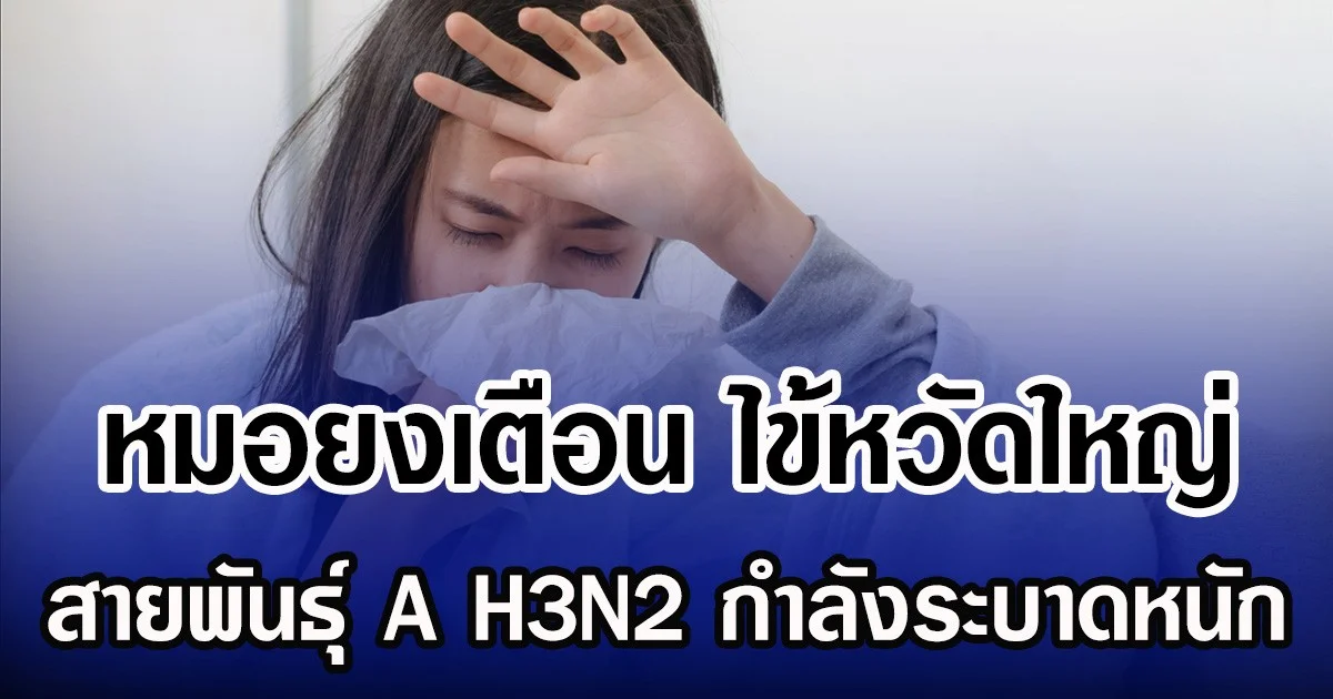 หมอยงเตือน ไข้หวัดใหญ่ สายพันธุ์ A H3N2 กำลังระบาดหนัก