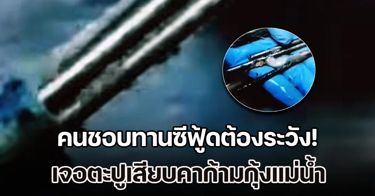 คนชอบทานซีฟู้ดต้องระวัง! เจอตะปูเสียบคาก้ามกุ้ง ร้านดังแฉ ผู้บริโภคอยู่ยากขึ้นทุกวัน