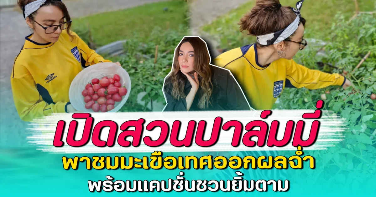 เปิดสวนปาล์มมี่ พาชมมะเขือเทศออกผลฉ่ำ พร้อมแคปชั่นชวนยิ้มตาม