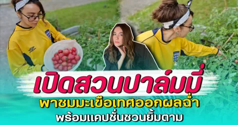 เปิดสวนปาล์มมี่ พาชมมะเขือเทศออกผลฉ่ำ พร้อมแคปชั่นชวนยิ้มตาม