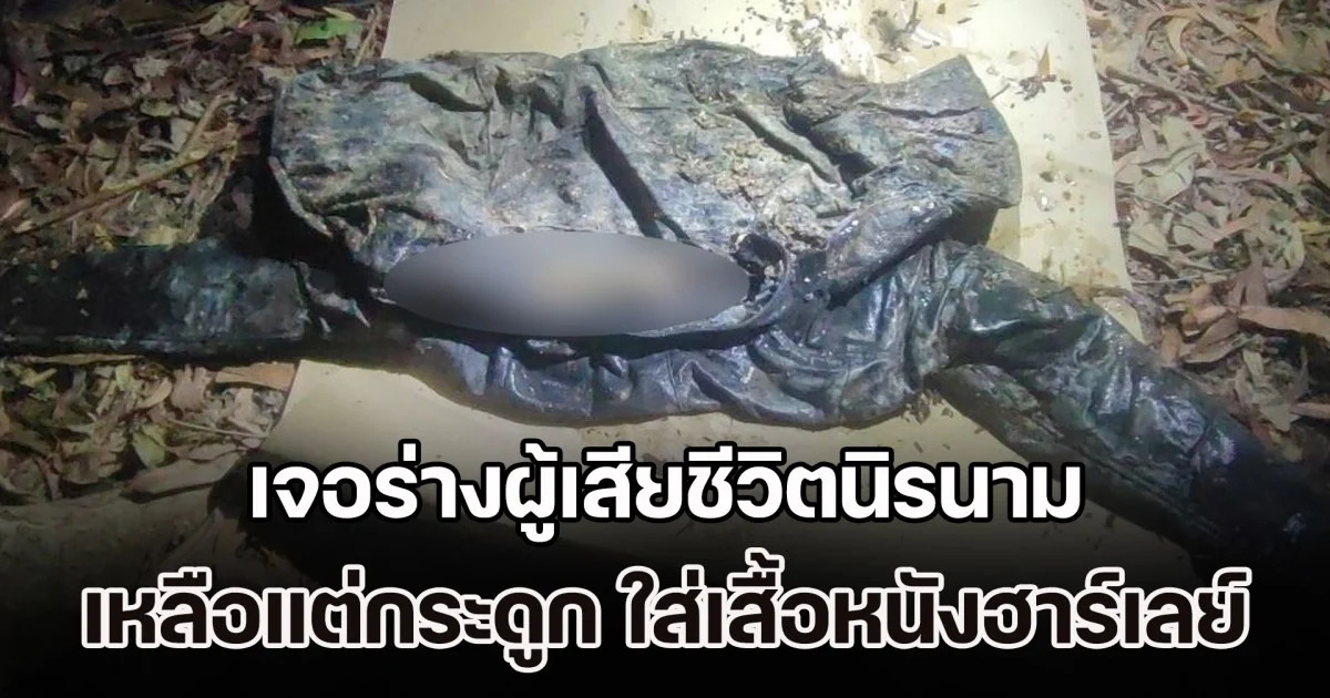 หนุ่มแทบช็อก! เข้าไปหาผึ้งป่า เจอร่างผู้เสียชีวิตนิรนาม เหลือแต่กระดูก ใส่เสื้อหนังฮาร์เลย์