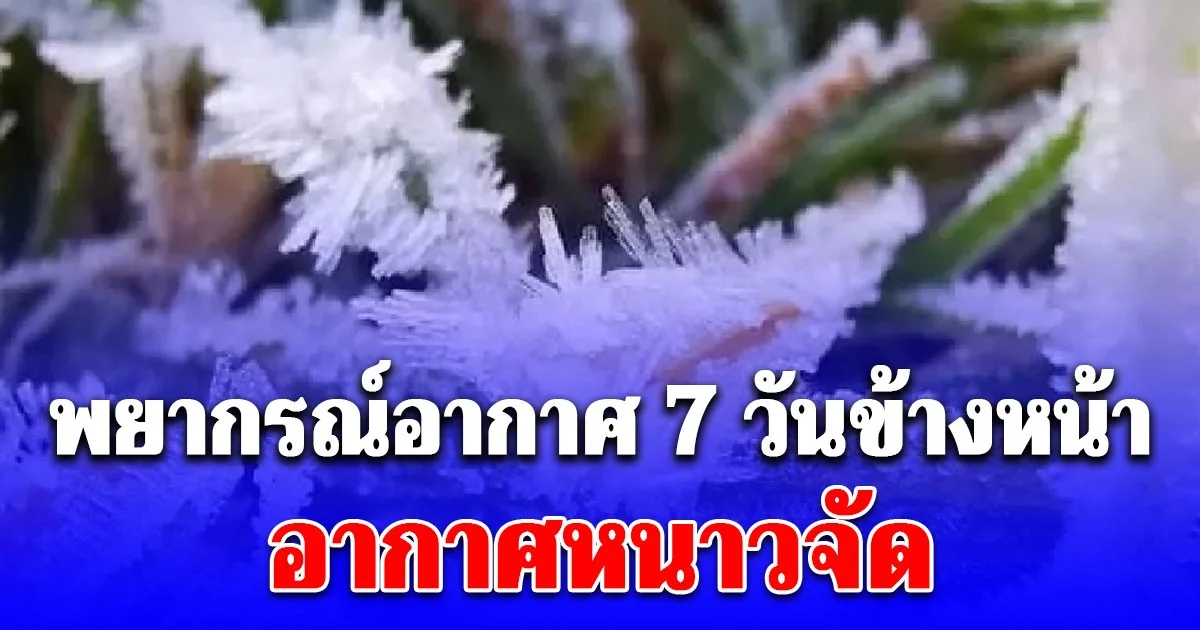 กรมอุตุฯ ประกาศแล้ว พยากรณ์อากาศ 7 วันข้างหน้า อากาศหนาวจัด เปิดพื้นที่โดนเต็มๆ