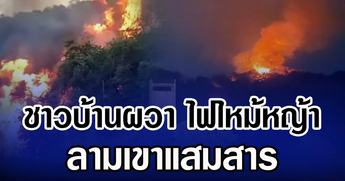 ชาวบ้านผวา ไฟไหม้หญ้า ลามเขาแสมสาร