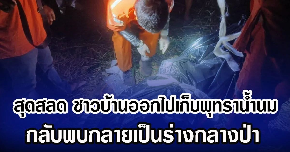 สุดสลด ชาวบ้านออกไปเก็บพุทราน้ำนม กลับพบกลายเป็นร่างกลางป่า