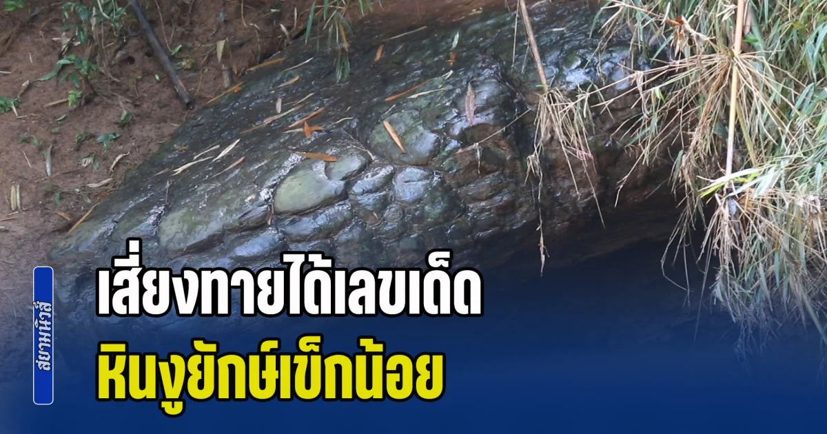 ชาวบ้านเสี่ยงทายได้เลขเด็ด หินงูยักษ์เข็กน้อย ส่งท้ายก่อนปิดให้เข้าชมไม่มีกำหนด