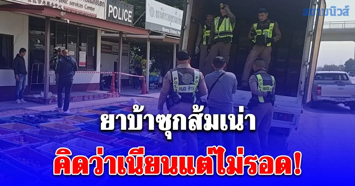 คิดว่าเนียนแต่ไม่รอด! จับคาด่านยาบ้า 5.3 แสนเม็ด ซุกส้มเน่าหวังอำพรางกลิ่น