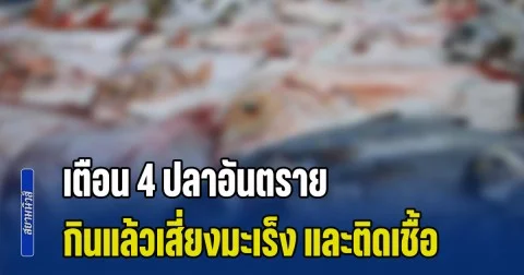ระวังด่วน! แพทย์ เตือน 4 ปลาอันตราย กินแล้วเสี่ยงมะเร็ง และติดเชื้อ