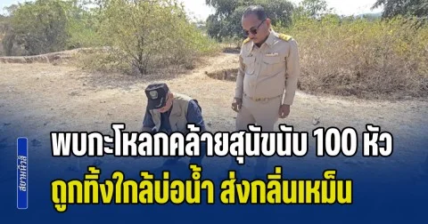 ชาวบ้านผวาหนัก! หลังพบกะโหลกคล้ายสุนัขนับ 100 หัว ถูกทิ้งใกล้บ่อน้ำ ส่งกลิ่นเหม็นคละคลุ้ง