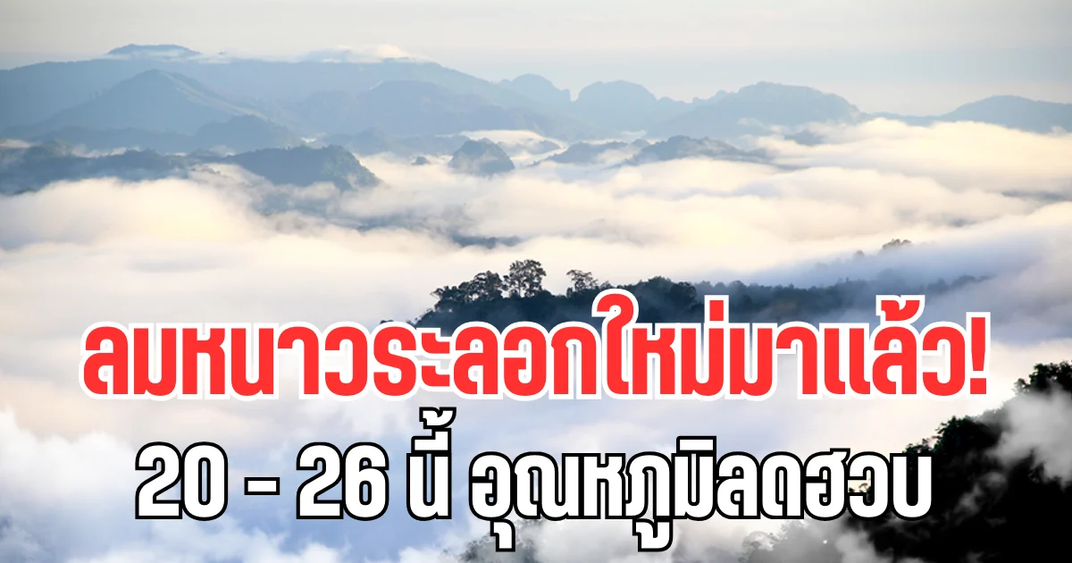 ลมหนาวระลอกใหม่มาเเล้ว! 20-26 นี้  อุณหภูมิลดฮวบ เปิดพื้นที่โดนเต็ม ๆ