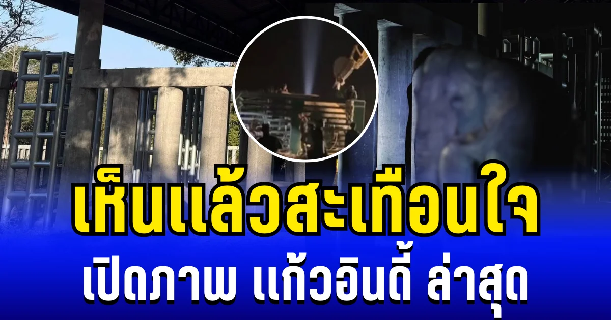 เห็นเเล้วสะเทือนใจ เปิดภาพ เเก้วอินดี้ ช้างป่าผู้เคยทระนง หลังถูกจับขังในคอกคอนกรีต