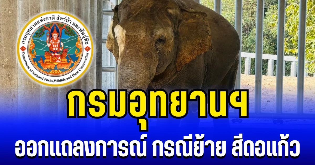 กรมอุทยานฯ ออกเเถลงการณ์ กรณีย้าย สีดอแก้ว ไปศูนย์ปรับพฤติกรรม