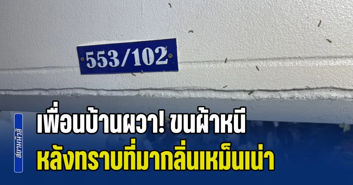 เพื่อนบ้านผวา! ขนผ้าหนี หลังทราบที่มากลิ่นเหม็นเน่า พบเป็นร่างชายวัย 56 อืดคาบ้านเช่า