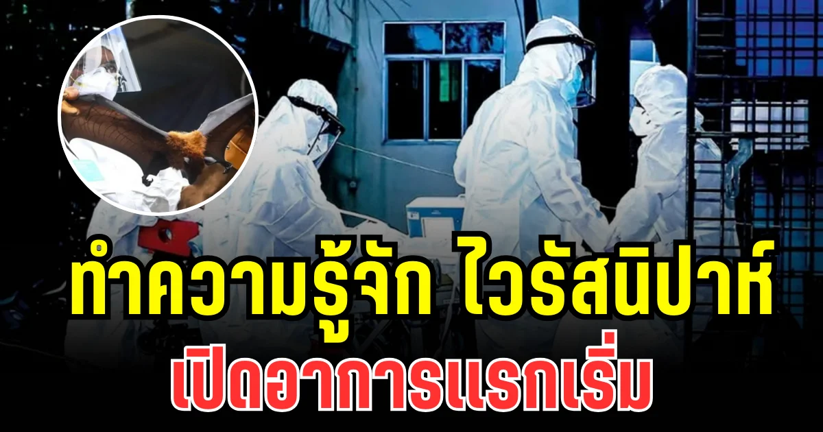 น่ากลัวมาก! ทำความรู้จัก ไวรัสนิปาห์ เปิดอาการเเรกเริ่ม