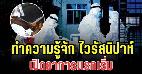 น่ากลัวมาก! ทำความรู้จัก ไวรัสนิปาห์ เปิดอาการเเรกเริ่ม