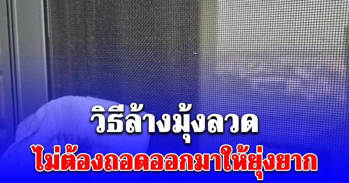 กูรูงานบ้านแนะนำ ของ 2 อย่าง ล้างมุ้งลวด ไม่ต้องถอดออกมาให้ยุ่งยาก